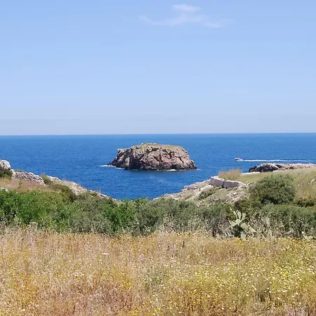 Eagle's Nest 펜션 *